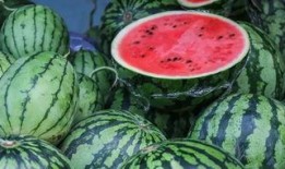 库尔勒吃瓜事件真相视频,揭秘背后真相与争议