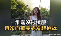 董赤赤吃瓜原视频,揭秘娱乐圈幕后故事