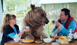 熊鼠吃哈米瓜好吗视频,一场欢乐的美食之旅