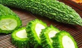 吃茄瓜能得癌症吗视频,权威解读与科学分析