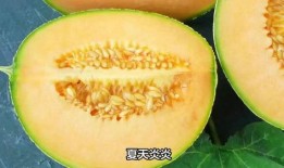 吃冰的视频哈密瓜,夏日消暑美食新体验