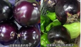 家里种的田瓜可以吃吗视频,自家田地里的美味果实