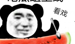 帮我找吃瓜视频大全,笑料百出，精彩纷呈