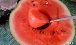 中国人吃蚕瓜视频,探寻中国独特风味