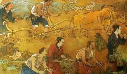 古人吃瓜自尽视频播放,一幕自尽视频引发的反思