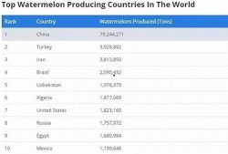 全球新闻吃瓜视频下载,一网打尽热门资讯瞬间