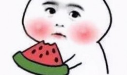 吃货大飞王小瓜视频,一场味蕾的狂欢盛宴