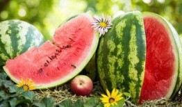 以前现在吃瓜对比视频