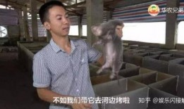 月上重火吃瓜视频,揭秘吃瓜视频背后的精彩故事