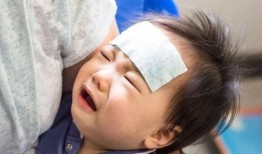 扇巴掌的视频吃瓜本人,揭秘背后真相与网络舆论风暴