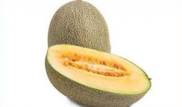 请你吃哈密瓜视频