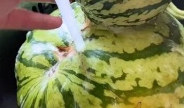 一看就会吃瓜搞笑视频,笑料横生！一看就会的吃瓜搞笑视频大盘点