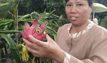 吃瓜群众被绿视频,视频曝光引发热议