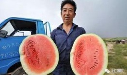 中国石油吃瓜视频最新