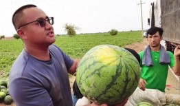 新泰泉沟吃瓜事件视频