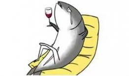 人生苦短吃瓜视频,吃瓜视频里的欢乐时光