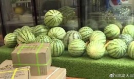 吃瓜视频王鹤棣在线观看,在线观看，笑料连连