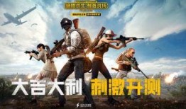 瓜哥视频吃鸡战场