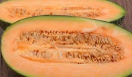 木下吃哈密瓜视频,甜蜜滋味引发网友热议