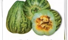 地主窝里横吃瓜视频,揭秘视频背后的惊人真相