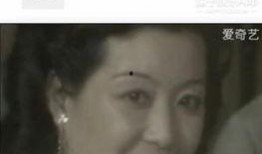 贵圈吃瓜攻略视频,跟随吃瓜攻略，解锁明星幕后故事