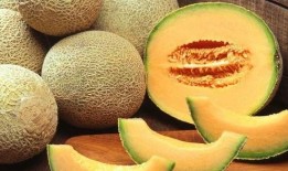 吃哈密瓜的小蘑菇视频大全,哈密瓜小蘑菇趣味视频大盘点