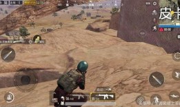 瓜哥视频吃鸡战场