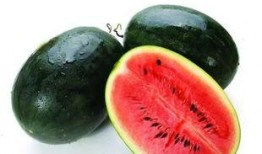 吃瓜曝光黑料155fun视频,吃瓜曝光背后的真相与争议