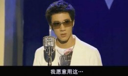 吃瓜中国人王力宏视频,揭秘娱乐圈幕后真相