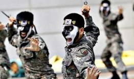 韩国特种兵吃瓜事件视频,真相揭秘与网络热议