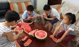 物业吃瓜大赛视频,一场欢乐的邻里盛宴