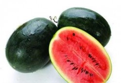 广西白云山吃瓜视频,游客体验别样山野风情