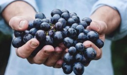 宝宝吃葡萄瓜视频教程