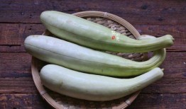 獭皮瓜怎样吃才好吃视频,视频教你如何烹饪出最佳口感