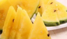 吃瓜视频素材哪里找到的,吃瓜视频素材的来源大揭秘