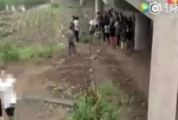 大伯吃瓜跳桥视频,一场意外引发的全民热议