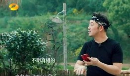 小魏吃瓜事件真相视频,真相视频曝光，还原事件始末