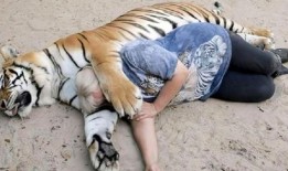 抓地虎吃瓜视频,揭秘网络红人的幕后故事