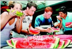 外国人免费吃瓜视频,外国人免费品尝瓜果盛宴，尽享异国风情