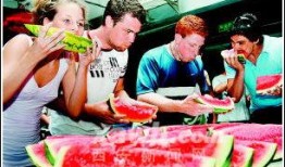 外国人免费吃瓜视频,外国人免费品尝瓜果盛宴，尽享异国风情