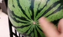 西瓜视频吃瓜的季节,夏日炎炎，吃瓜正当时！