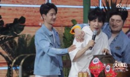 天天向上在线吃瓜视频,明星在线吃瓜，揭秘娱乐圈幕后故事