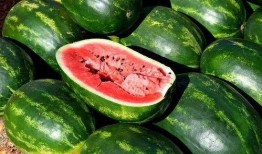 卖西瓜吃瓜视频大全播放,热门吃瓜视频大盘点，笑料横生，欢乐无限