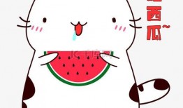 吃瓜视频搞笑猫咪表情包,吃瓜视频里的猫咪欢乐时光