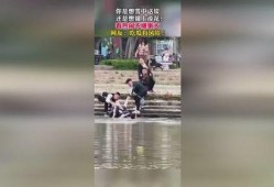 双鱼吃瓜群众视频真实,揭秘娱乐圈幕后真相