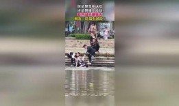 双鱼吃瓜群众视频真实,揭秘娱乐圈幕后真相