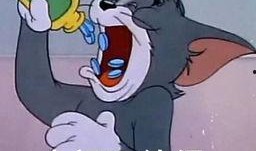 汤姆猫吃哈密瓜视频大全,哈密瓜盛宴视频大盘点