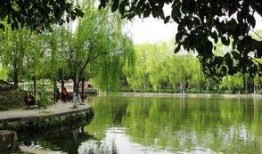 北湖公园吃瓜事件视频,一场引发热议的公共行为争议