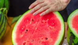 吃大瓜小红花会中毒吗视频,吃大瓜小红花竟可能中毒，视频揭示惊人真相！