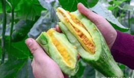 网红第一手吃瓜视频,独家幕后真相大曝光！